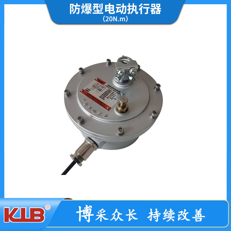 防爆型电动执行器（20N.m）